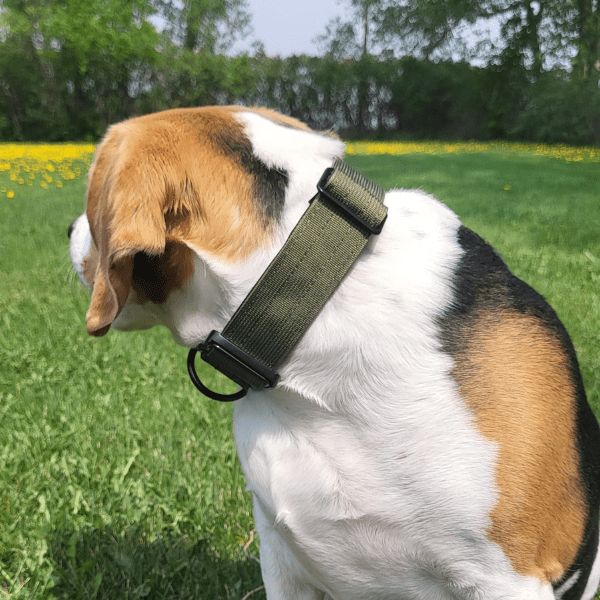 Hunter TUFF Tactical Collar - Alpha Armor