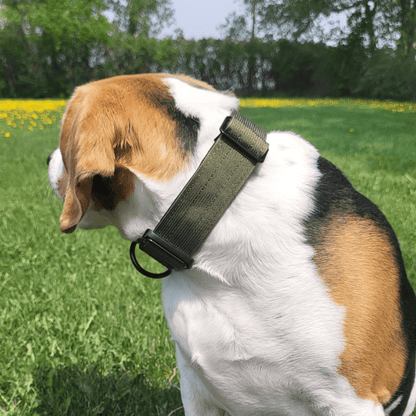 Hunter TUFF Tactical Collar - Alpha Armor
