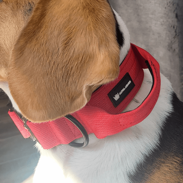 Scarlet TUFF Tactical Collar - Alpha Armor
