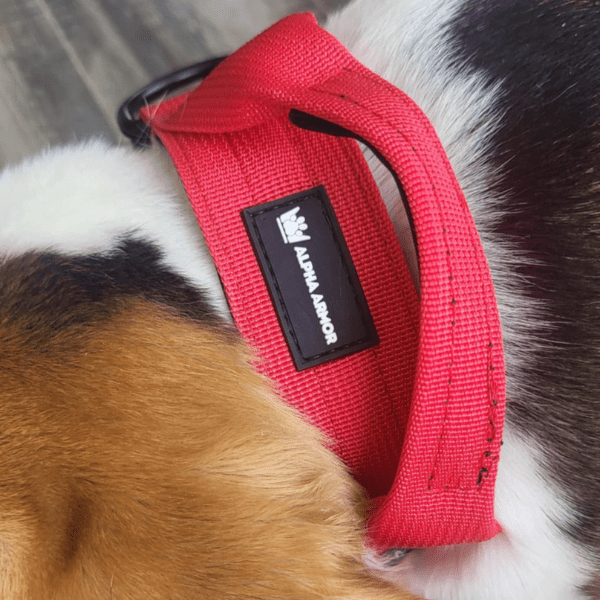 Scarlet TUFF Tactical Collar - Alpha Armor